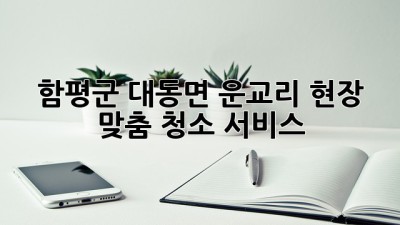 함평군 대동면 운교리 현장 맞춤 청소 서비스
