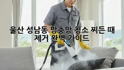 울산 성남동 방충망 청소: 찌든 때 제거 완벽 가이드