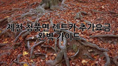 제천 청풍면 렌트카 추가요금 완벽 가이드